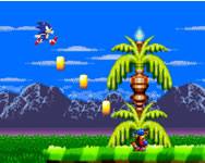 Mario - Sonic run adventure